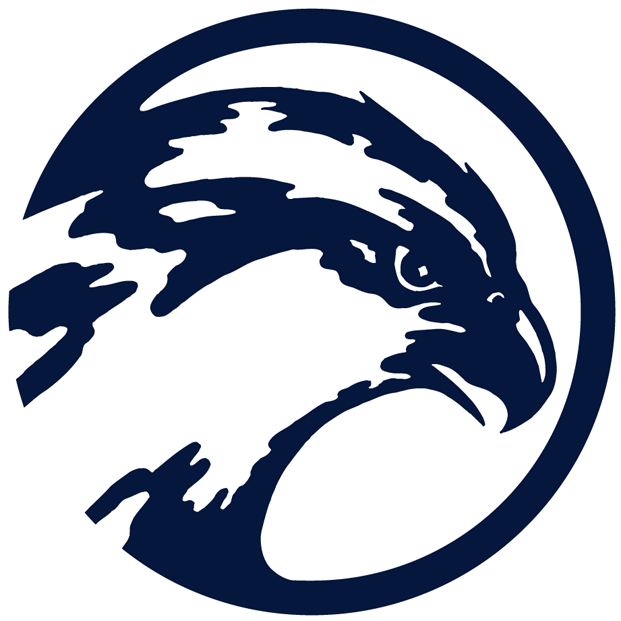 UNF Ospreys 0-1998 Primary Logo iron on transfers for clothing